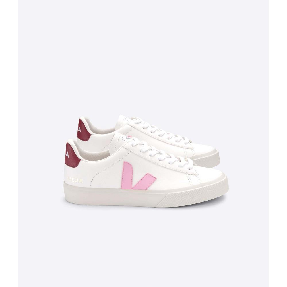 Veja CAMPO CHROMEFREE Low Tops Sneakers Dame White/Pink | NO 591ZUT